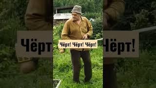 МУЖИК ОЗВЕРЕЛ: БУРЬЯН ЗАБОДАЛ! #shorts #ржака #мемы