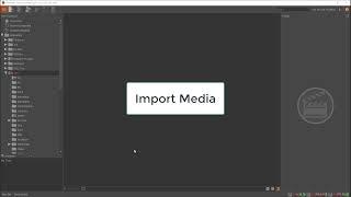 Import Media