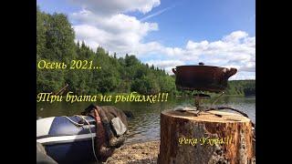 Три брата на рыбалке/ Осень 2021/ Надо употребить!!!/Река Ухта/