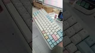 All keyboards that I own right now a.k.a where my money goes  #keebo #mechanicalkeyboard #asmr