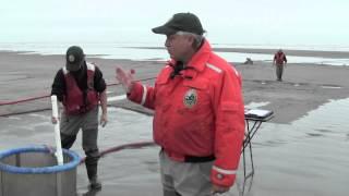 Razor Clams in Washington Stock Assessment