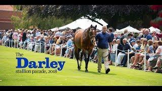 The 2018 Darley stallion parade at Dalham Hall stud