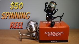 REAL Review: Best $50 Spinning Reel! (Tackle Tuesday #16)