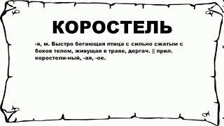 КОРОСТЕЛЬ - что это такое? значение и описание