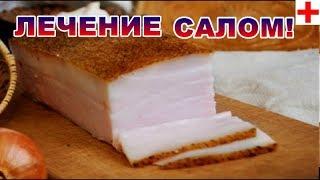 ЧТО ЛЕЧИТ САЛО? ПОЛЬЗА САЛА ДЛЯ ОРГАНИЗМА