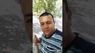 КИТОБ ЎҚИШ ЖИНОЯТМИ..