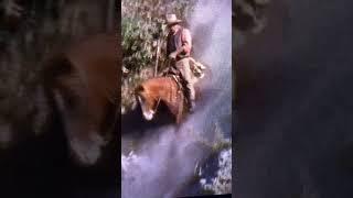 John Wayne, no stunt double for riding a horse!@jaredsanders1248