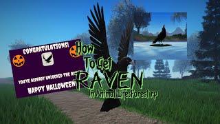 How to get raven in animal life:forest roleplay