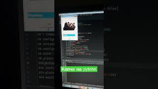 Реализация капчи на Python#python #курсы #обучение #программирование #питон #код