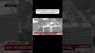 HUGE TURNOUT in LA for anti-Trump protest