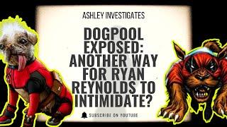 DOGPOOL EXPOSE!! Ryan Reynolds Hollywood Power Play Exposed... Again?