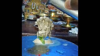 Sri Laxmi Narasimha Swamy Abhishekam at Home