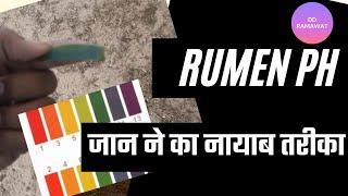 Ruminal PH Cow   Ramawat