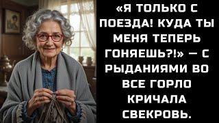 «Я ТОЛЬКО С ПОЕЗДА! КУДА ТЫ МЕНЯ ТЕПЕРЬ ГОНЯЕШЬ?!» — С РЫДАНИЯМИ ВО ВСЕ ГОРЛО КРИЧАЛА СВЕКРОВЬ.