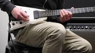 Steinberger Demo