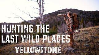 HUNTING THE LAST WILD PLACES: YELLOWSTONE