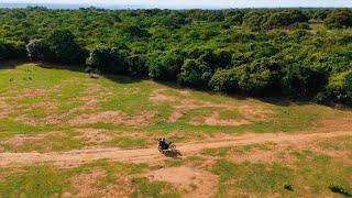 Celebrating Beekeeping: A Global Story - Brazil