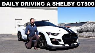 Daily Driving A Shelby GT500 Is TERRIFYING!