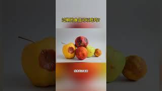 过期的食品可以吃吗？#科普 #科学 #冷知识 #保质期 #食品安全 #健康