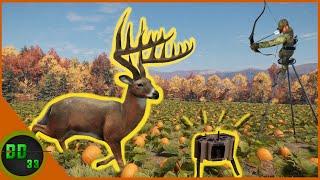 Calling In MONSTER WHITETAIL with The New Electronic Caller! Call Of The Wild