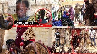 Karamba Dansokho Aninko  borom djinn yi l'enfant de Mbour 600.000 talibé djiinn ...