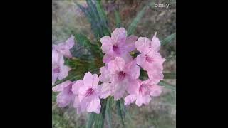 5 March 2024