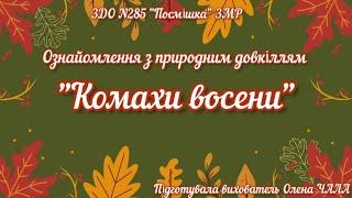 Ознайомлення з природним довкіллям "Комахи восени". Старший дошкільний вік.