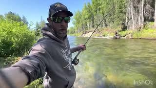 Fly fishing trout Alaska Mat Su valley. #fishing #flyfishing #alaska