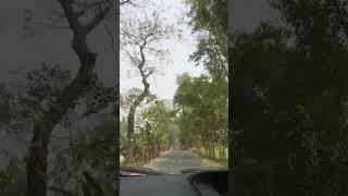 A stunning road trip along an arched roadway. #roadtrip #roadways #villageroad #unwindwithnature