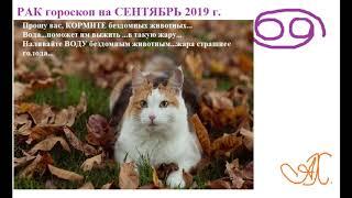 Рак гороскоп на СЕНТЯБРЬ 2019 г.