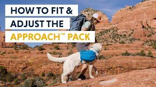 How to Fit & Adjust the Ruffwear Approach™ Dog Backpack