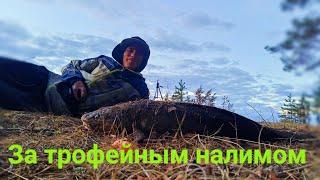 Вот в нём ДУРИ! Есть ещё НАЛИМЫ в нашей РЕКЕ. Лучшей РЫБАЛКИ я и не ожидал! Ночь в ИЗБЕ! Донка.