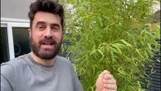 Michael Perry - Mr. Plant Geek - When Horticulture meets Social Media