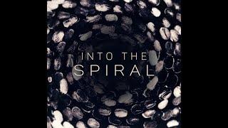 INTO THE SPIRAL (feat. Tudor Mihai Popescu & Jennifer Hyman) by Marc Alexandru Tint