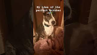 My idea of a “ perfect October “￼#fall #fortoupage #october #city