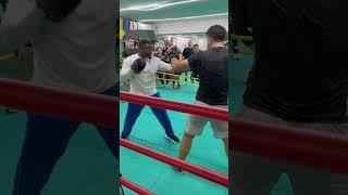 Профессиональный удар в боксе #бокс#boxing#box