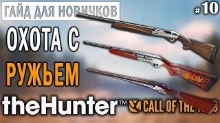 theHunter Call of the Wild #10  - Охота с Ружьем - ГАЙД для Начинающих