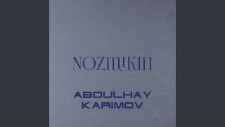 Nozmikin