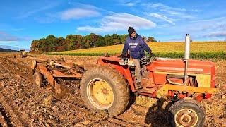 Potato Harvest Gone Wrong!