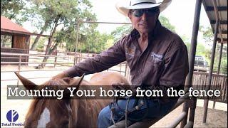 Mounting from the fence - Everyday Horsemanship Tips