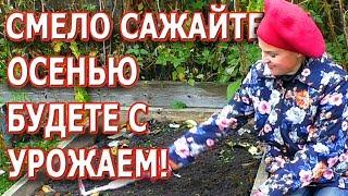 Подзимний посев! Что сажаем? Список культур, технология посадки. Всё просто!