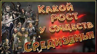 Какой рост у жителей Средиземья? Моргот, Энты, Драконы, Саурон, Орки, Хоббиты, Гномы и другие...