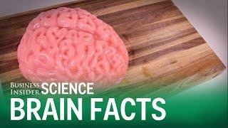 9 Brainy Facts