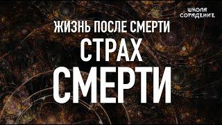 Страх смерти #страхсмерти #смерть #жизньпослесметри #Весталия #школаСорадение