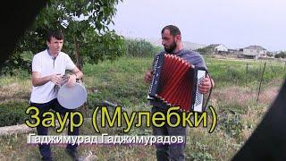 Заур Магомедов (Мулебки) 2020  Даргинская песня Dagestan song