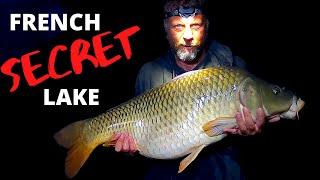 giant carp fishing