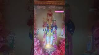 om muruga #murugan #muruganthunai #devotional #shorts