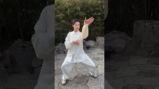 教大家一套简单的陈氏太极，建议收藏。 #太极拳 #武术 #陈式太极拳 #中华武术博大精深