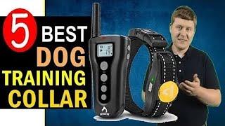 Best Dog Training Collar 2024-2025  Top 5 Best Dog Training Collars Reviews