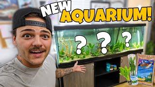 We FINALLY bought a 125G Community FISH TANK!!